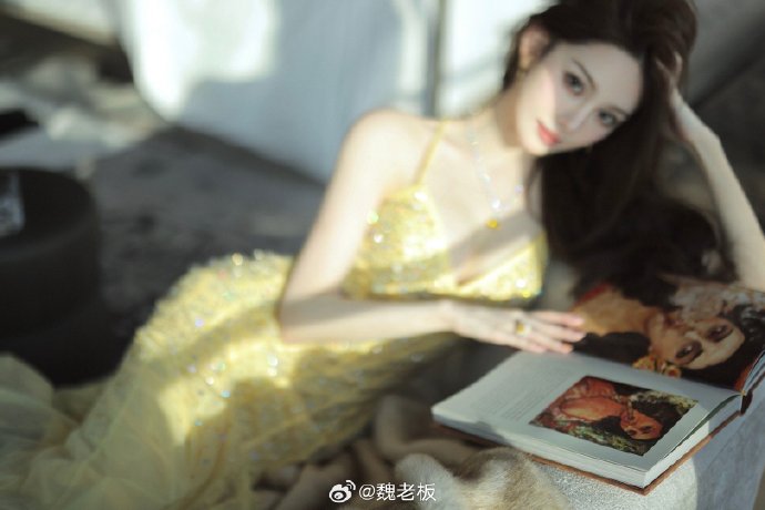 承欢记 封面