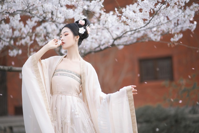 芙蓉镇 封面
